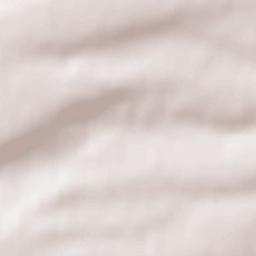 Brandýsek Terrain Map