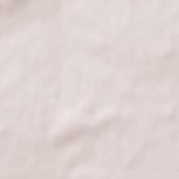 Brzóza Stadnicka Terrain Map