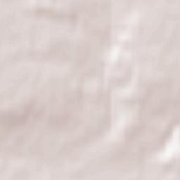 Vasylkiv Terrain Map