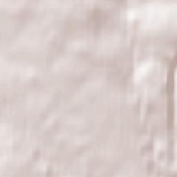 Rokytnice v Orlických Horách Terrain Map