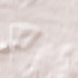 Czerwionka-Leszczyny Terrain Map