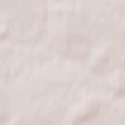 Żołynia Terrain Map