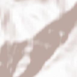 Ust’-Koksinskiy Rayon Terrain Map