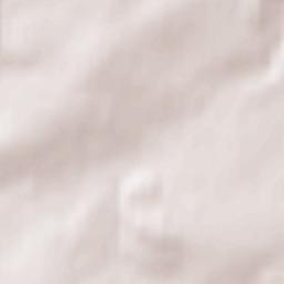 Saint-Riquier Terrain Map