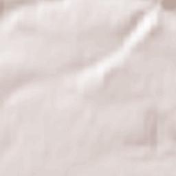 Horoměřice Terrain Map