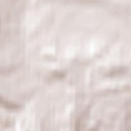 Międzylesie Terrain Map