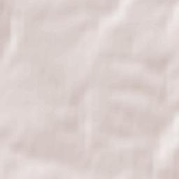 Powiat głubczycki Terrain Map