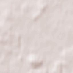 Lędziny Terrain Map