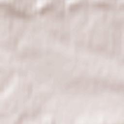 Wola Filipowska Terrain Map