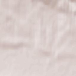 Bolechowice Terrain Map