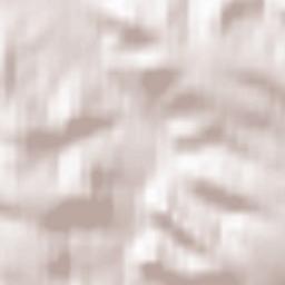 Kremenets Terrain Map