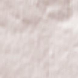 Wiesbaden Terrain Map