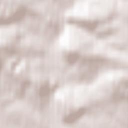 Regulice Terrain Map