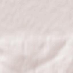 Łańcut Terrain Map