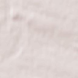 Novoselytsya Terrain Map