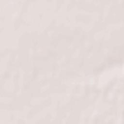 Tambovskiy Rayon Terrain Map