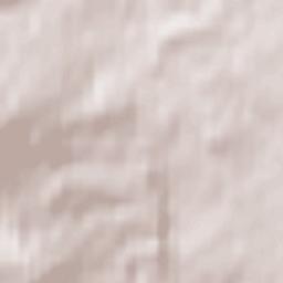 Červená Voda Terrain Map