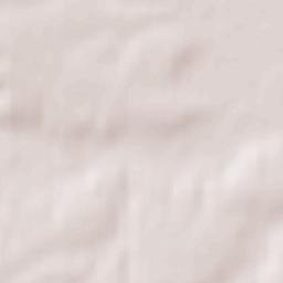 Krzanowice Terrain Map