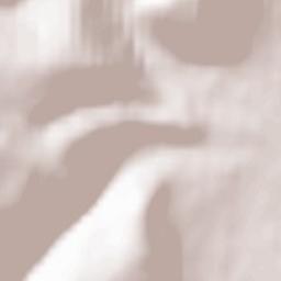 Lohr am Main Terrain Map