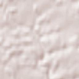 Stadelhofen Terrain Map