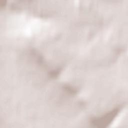 Bindlach Terrain Map