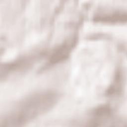 Neualbenreuth Terrain Map