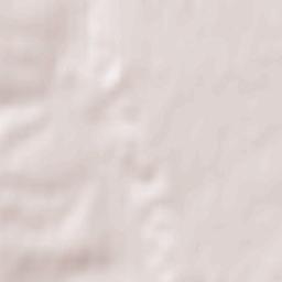 Tworków Terrain Map