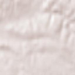 Wodzisław Śląski Terrain Map