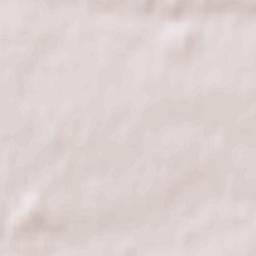 Pszczyna Terrain Map