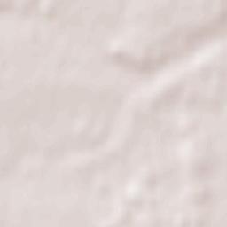 Jankowice Terrain Map