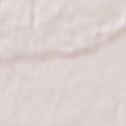 Stanisławice Terrain Map