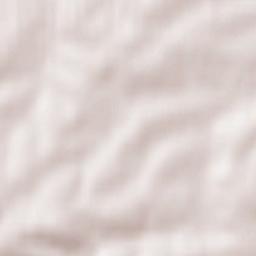 Niechobrz Terrain Map