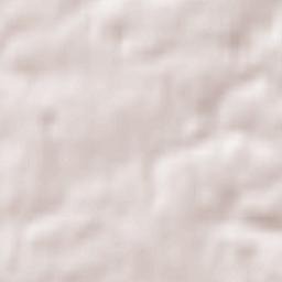 Starychi Terrain Map