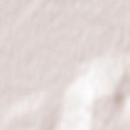 Gau-Algesheim Terrain Map