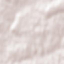 Jastrzębie Zdrój Terrain Map