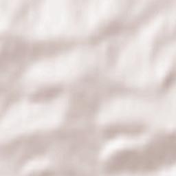 Pawlikowice Terrain Map