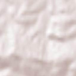 Tomaszkowice Terrain Map