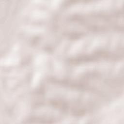 Pantalowice Terrain Map