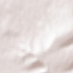 Ockenheim Terrain Map