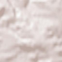 Neunkirchen am Main Terrain Map