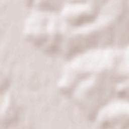 Woźniki Terrain Map