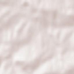 Sosnowice Terrain Map