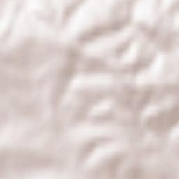 Stary Wiśnicz Terrain Map