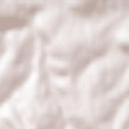 Wielopole Skrzyńskie Terrain Map