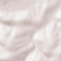 Łopuszka Wielka Terrain Map