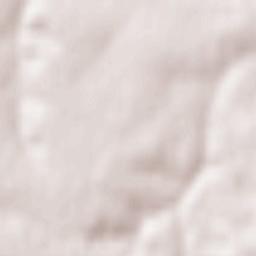 Korotych Terrain Map