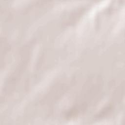 Dolní Životice Terrain Map