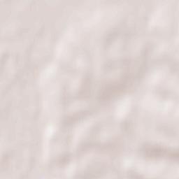 Bestwina Terrain Map