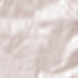 Witanowice Terrain Map