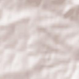 Stanisław Górny Terrain Map